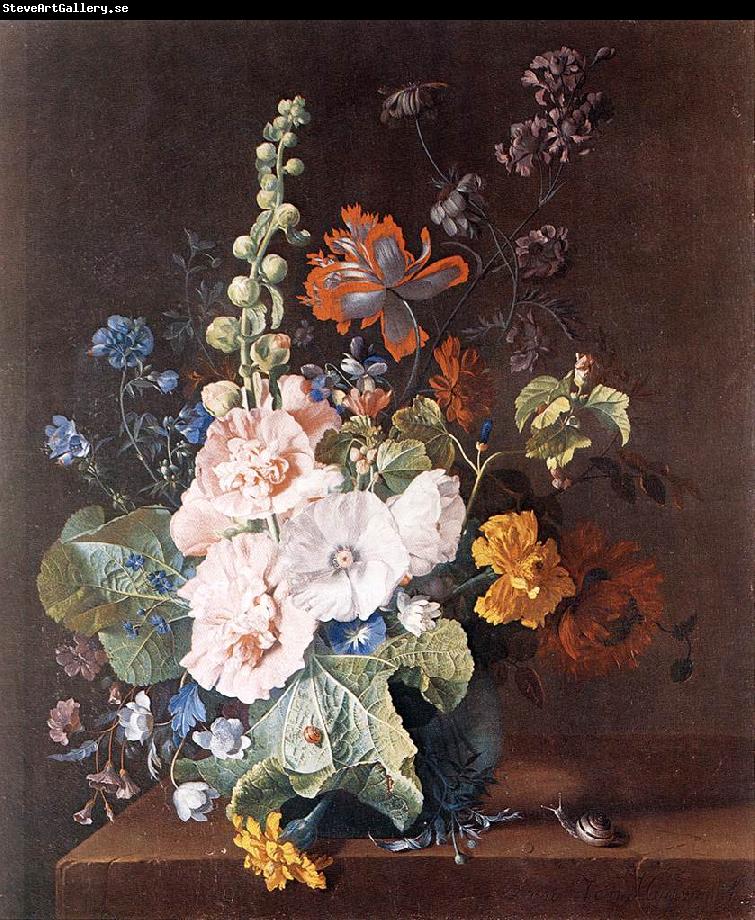 HUYSUM, Jan van Hollyhocks and Other Flowers in a Vase sf